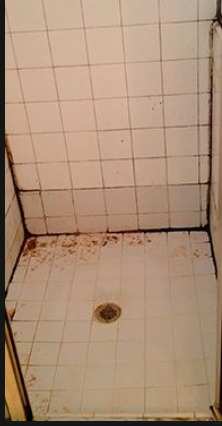 Before — CityCare Hospital